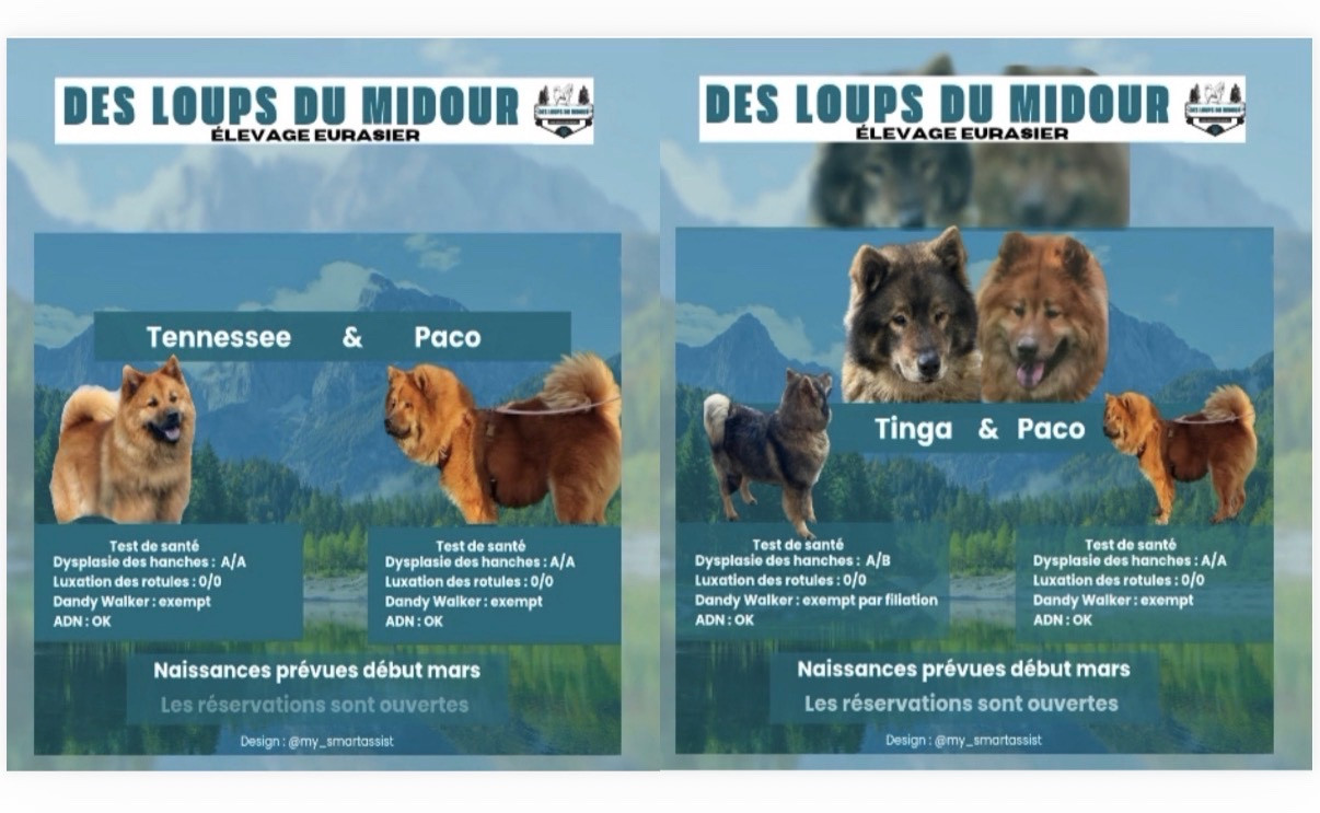 Prochaines naissances vers le 07 mars 2026 et vers le 15 mars 2026