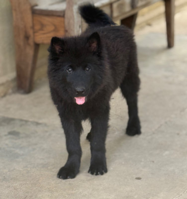 Bouba