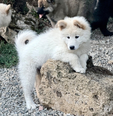 Alaska